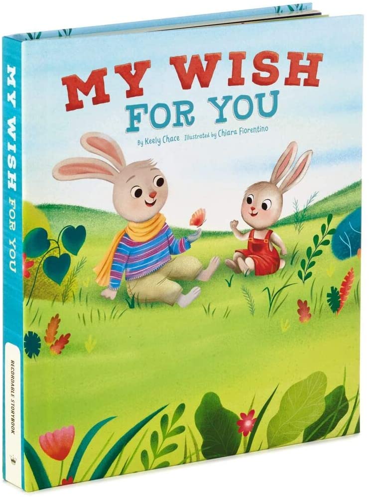 my wish for you recordable storybook