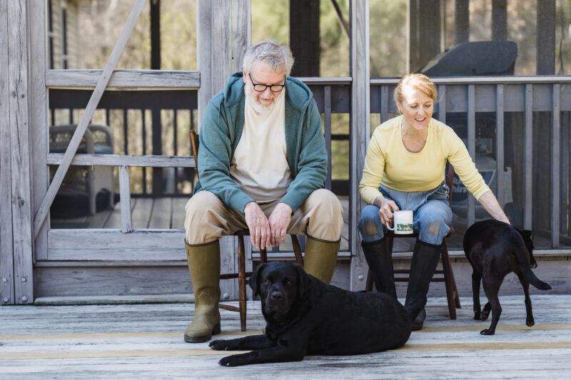 pets improves aging