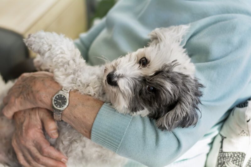 senior woman holding pet dog