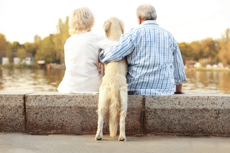 seniors and pet insurance