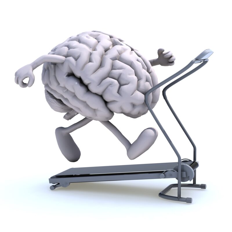 alzheimer's brain exercise