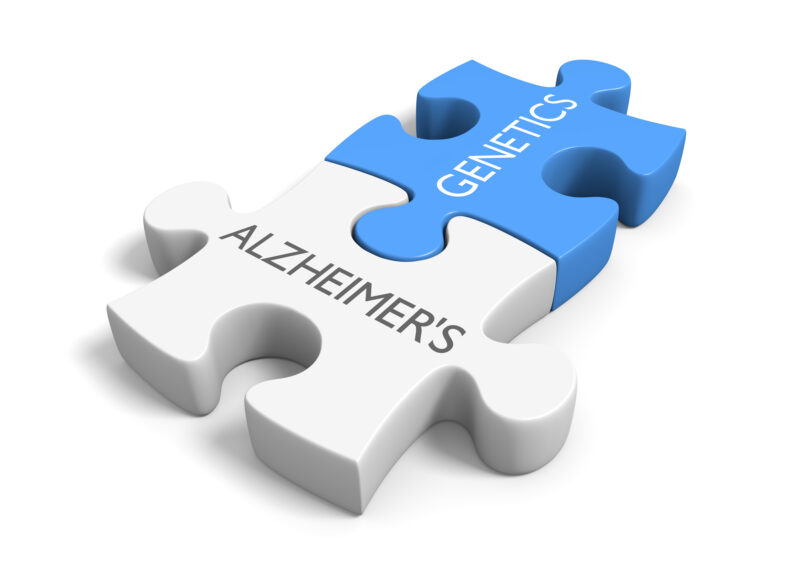 alzheimers theory and study