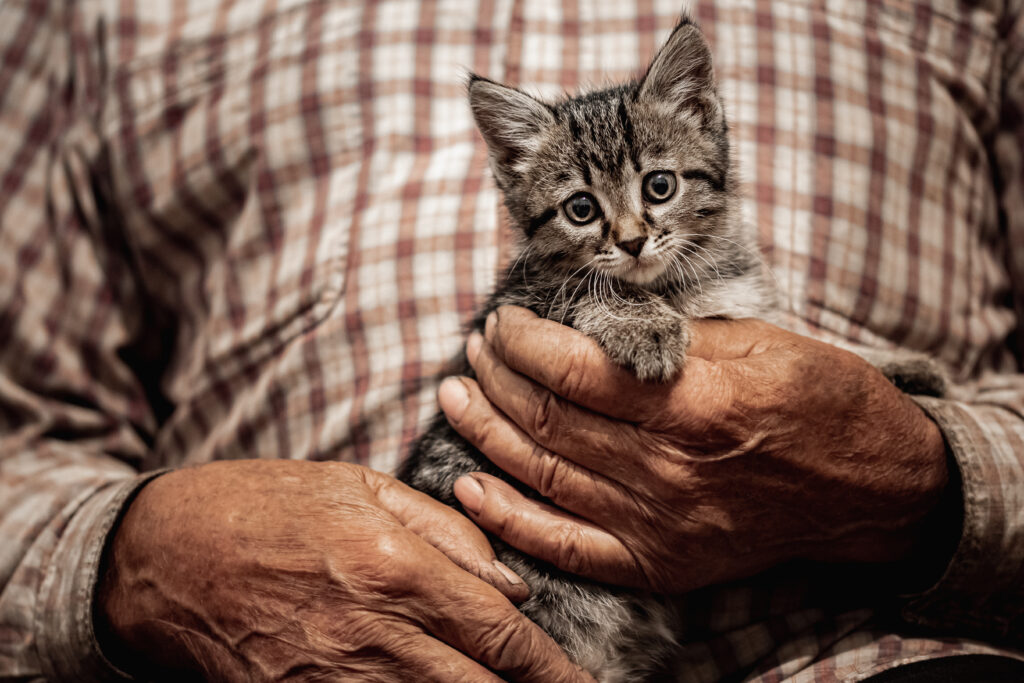 pet care for seniors