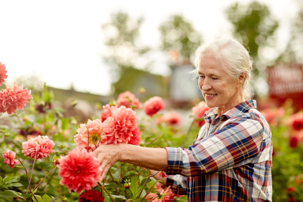 senior woman pruning flowers, plant therapy
