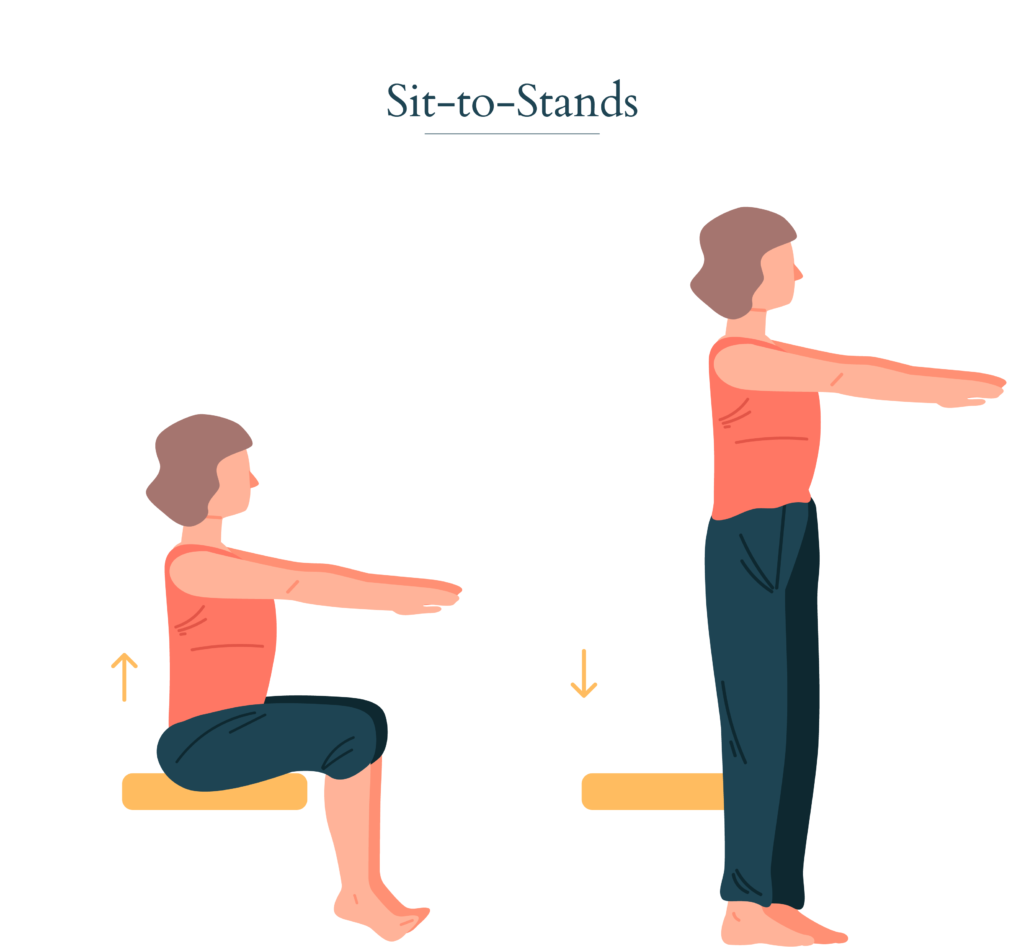 sit to stand chair exercises