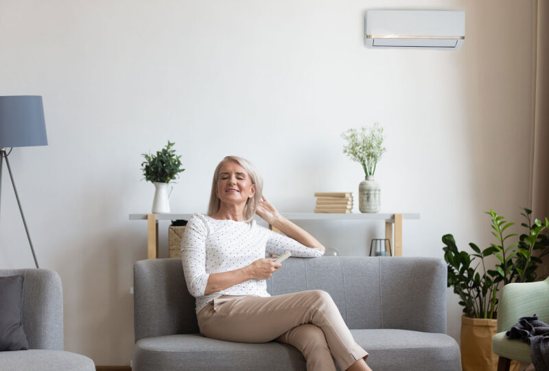 best air purifiers for homes with seniors