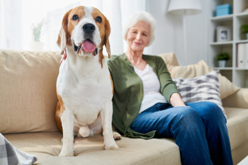 An older woman sitting on the couch with her dog