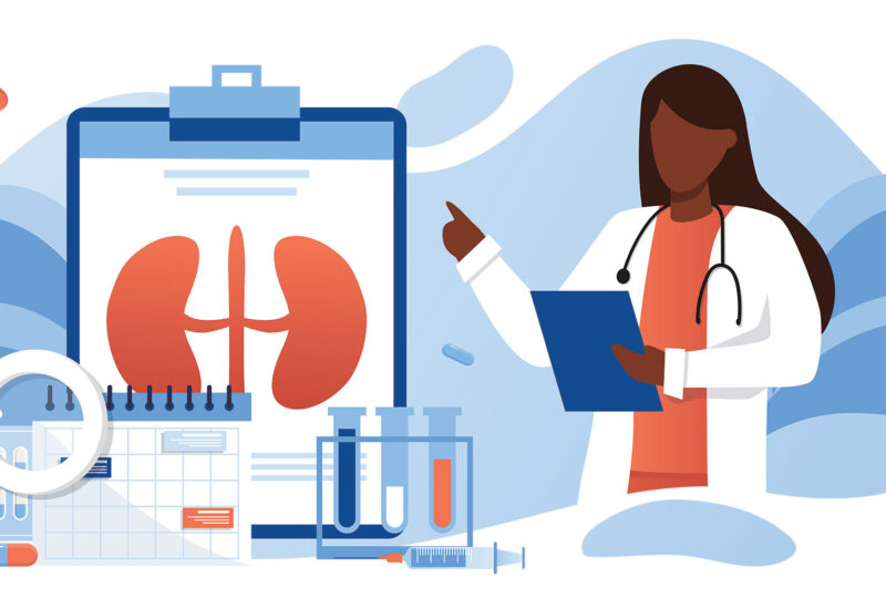 an illustration showing a doctor pointing to kidneys