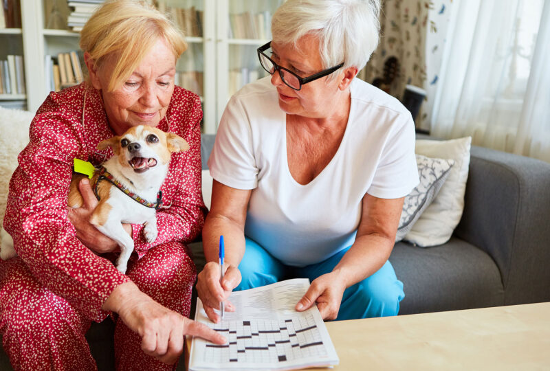 two women sitting on the couch doing a crossword puzzle with a dog