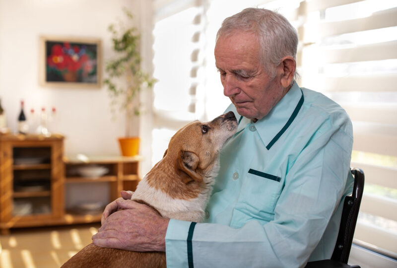 Senior man with his dog sitting in chair beside window and sharing love