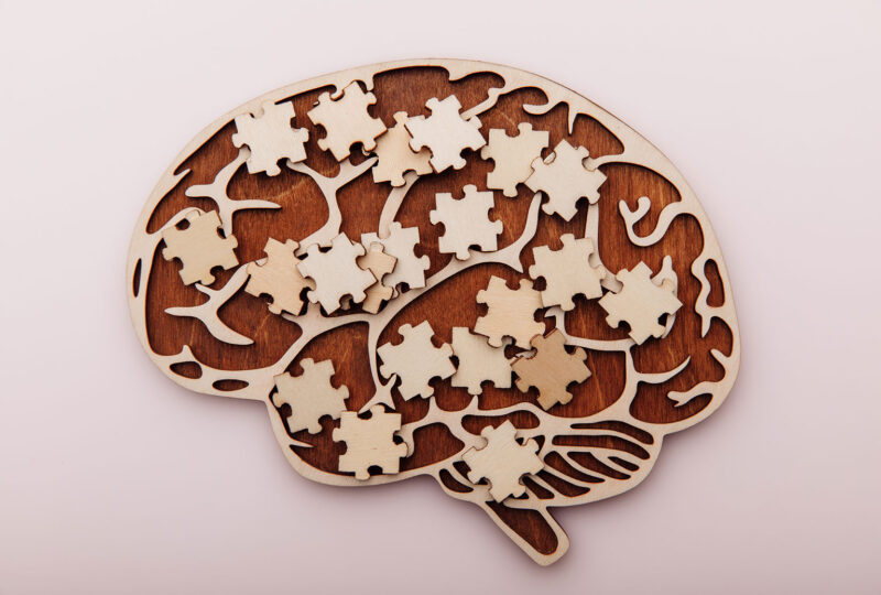 wooden brain with puzzle pieces scattered inside