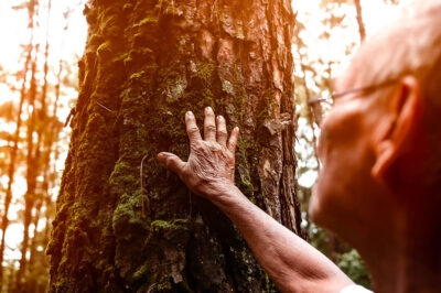 Senior man touching on old tree gently
